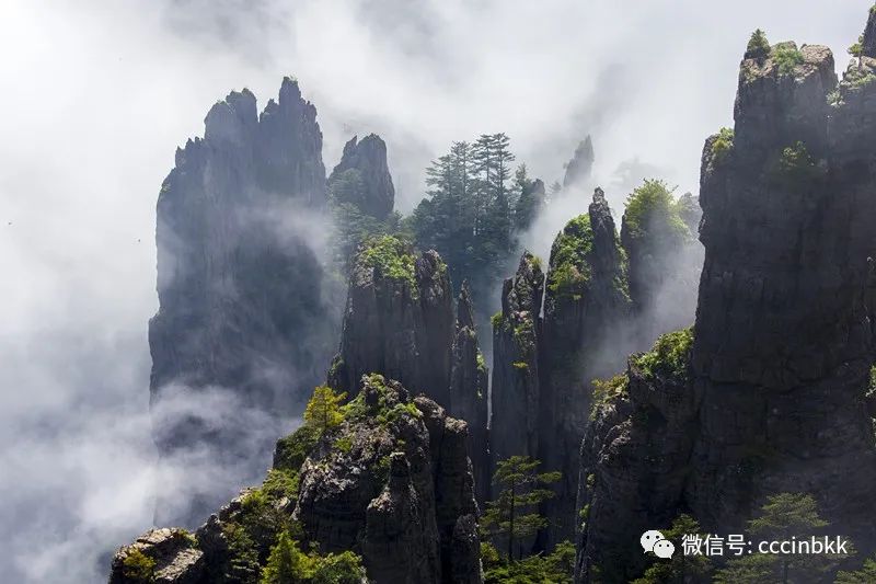 云游中国 | 有一种夏天，叫神农架很凉很爽