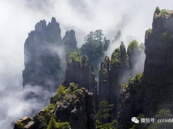 云游中国 | 有一种夏天，叫神农架很凉很爽